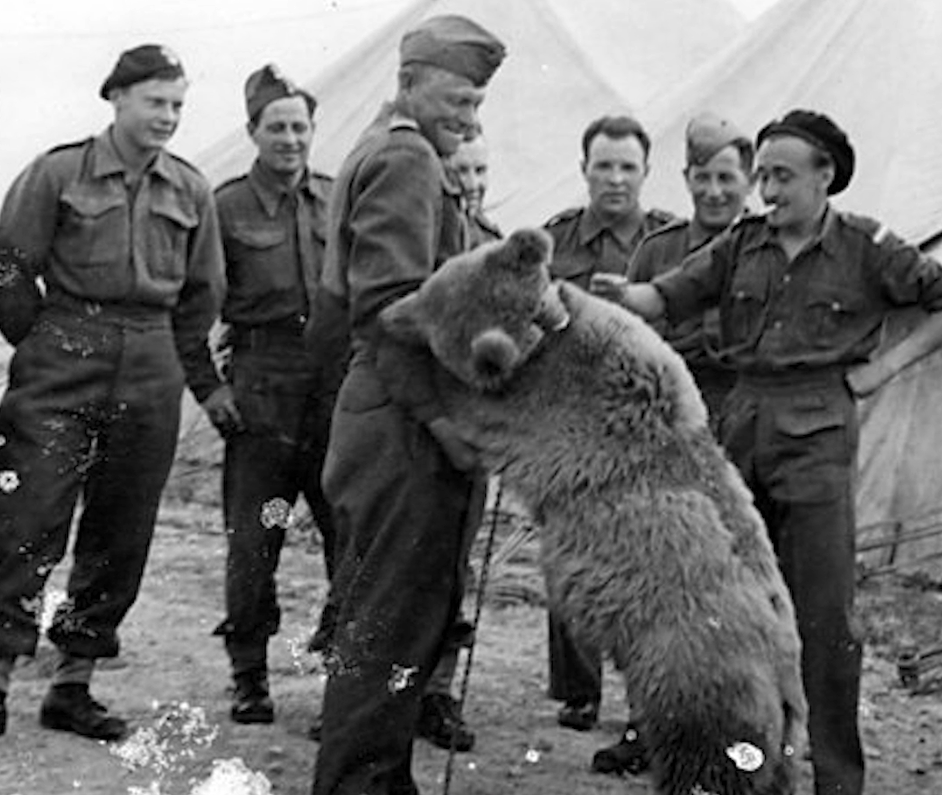 Wojtek Sketch Left
